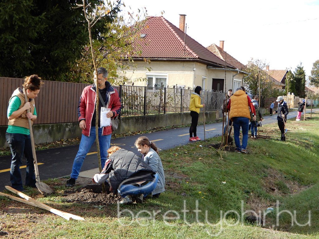Közösségi faültetés Berettyóújfaluban 53